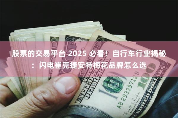 股票的交易平台 2025 必看！自行车行业揭秘：闪电崔克捷安特梅花品牌怎么选