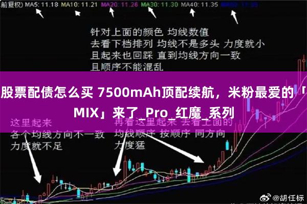股票配债怎么买 7500mAh顶配续航，米粉最爱的「MIX」来了_Pro_红魔_系列
