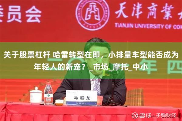 关于股票杠杆 哈雷转型在即，小排量车型能否成为年轻人的新宠？_市场_摩托_中小