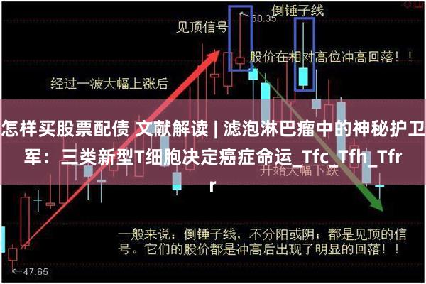 怎样买股票配债 文献解读 | 滤泡淋巴瘤中的神秘护卫军：三类新型T细胞决定癌症命运_Tfc_Tfh_Tfr