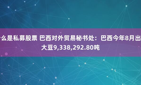 什么是私募股票 巴西对外贸易秘书处：巴西今年8月出口大豆9,338,292.80吨