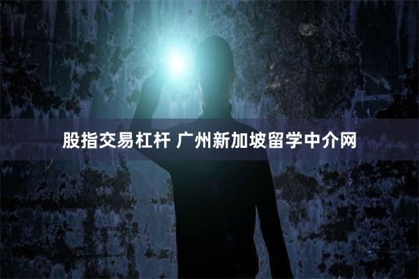 股指交易杠杆 广州新加坡留学中介网