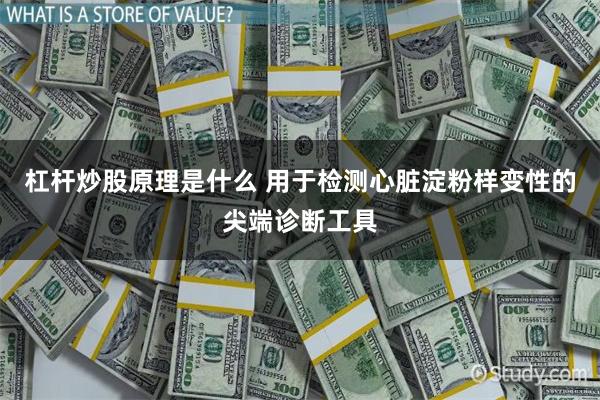 杠杆炒股原理是什么 用于检测心脏淀粉样变性的尖端诊断工具